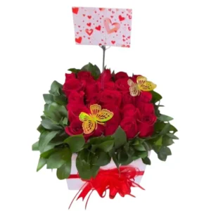 flores en cali: cubo de rosas + mariposas ref 4