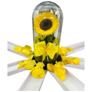 floristeria en cali: girasol preservado ref 55