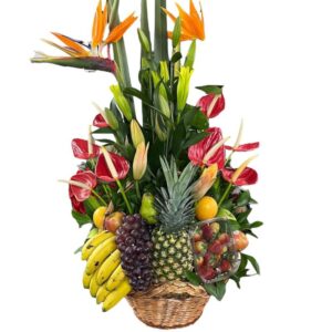 gran frutero ref 53