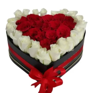 Corazon de 24 Rosas en 2 tonos ref 166
